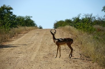 Selous Game Reserve