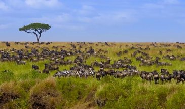 Serengeti National Park