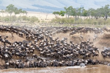 Serengeti National Park