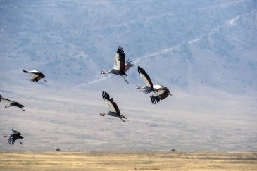 Tarangire National Park