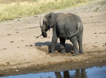 Tarangire National Park