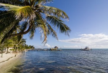 Caye Caulker