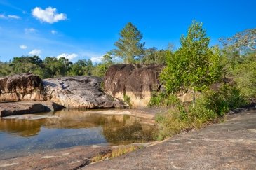 Mountain Pine Ridge Forest Reserve