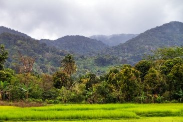 Masoala National Park