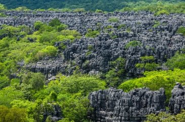 Tsingy de Bemaraha