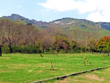 Margalla Hills