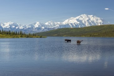 Denali National Park