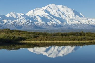 Denali National Park