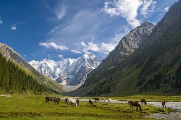 Karakol Valley