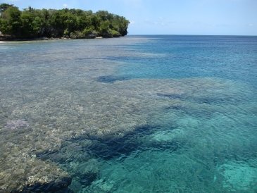 Papua Nowa Gwinea Wyspy Trobiand