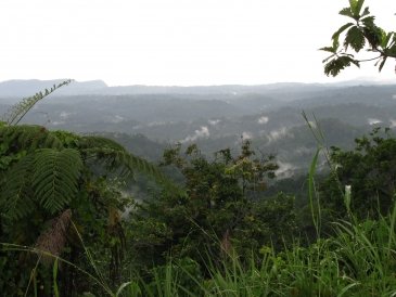 Krajobraz Papuaski