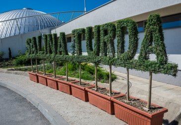 Salina Turda salt mine in Turda