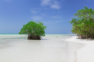 Cayo Coco