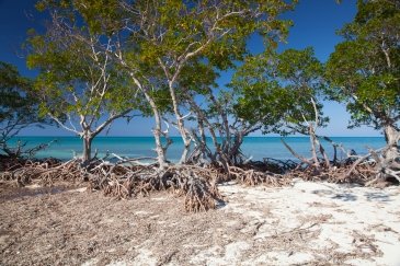 Cayo Coco