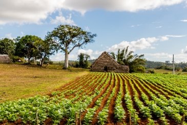 Valle de Vinales