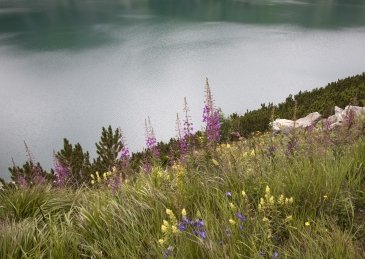 Dolina Maltatal- Austria