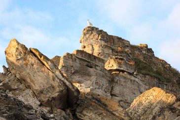 Saxon Switzenland National Park Niemcy