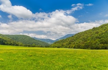 Sutjeska National Park-Bośnia i Hercegowina