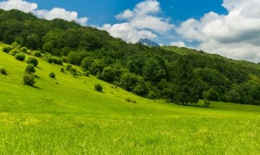 Sutjeska National Park-Bośnia i Hercegowina