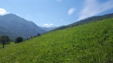 Sutjeska National Park-Bośnia i Hercegowina