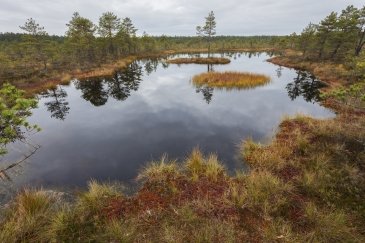 Lahemaa National Park - Estonia