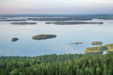 Park Narodowy Koli Finlandia
