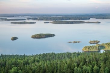 Park Narodowy Koli Finlandia