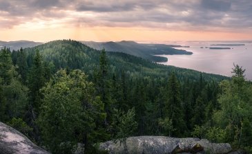 Park Narodowy Koli Finlandia