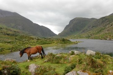 Przełęcz Dunloe