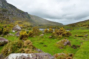 Przełęcz Dunloe