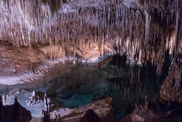 Jaskinia Postojna i Zamek Prejama Słowenia