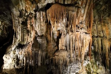Jaskinia Postojna i Zamek Prejama Słowenia