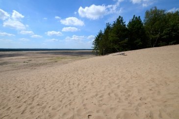 Pustynia Błędowska