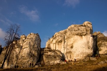 Góra Zborów
