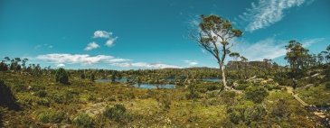Twisted lakes Cradle Mountains NP