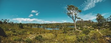 Twisted lakes Cradle Mountains NP