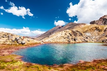 Tongarino National Park- New Zeland