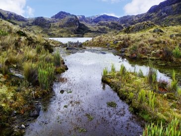 Park Narodowy El Cajas  Ekwador