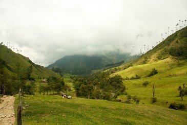 Zona Cafetera - Region kawy i miasta Salento kolumbia