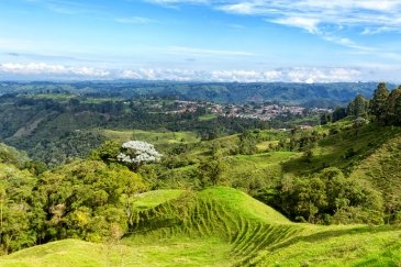 Zona Cafetera - Region kawy i miasta Salento kolumbia