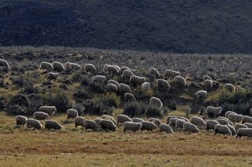 Ziemia Ognista Argentyna