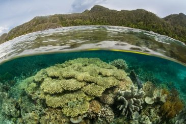 Chelbacheb - archipelag wysp rock island okolice Papua