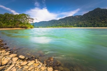 Manu National Park Peru