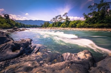 Manu National Park Peru