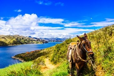 Titicaca jezioro Peru