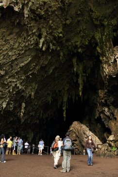 Jaskinia Guacharo Wenezuela