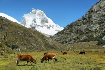 Huascaran Park Narodowy Peru