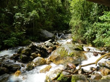Park Narodowy Sierra Nevada Wenezuela
