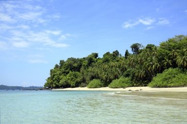 Coiba - Panama