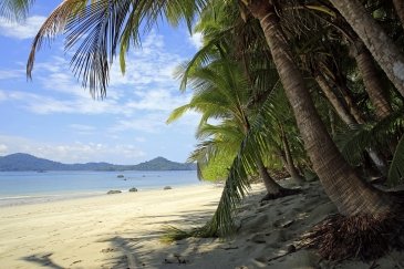 Coiba - Panama